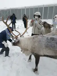 遺憾地錯過了天池,卻遇上了落日雪嶺!