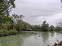 煙雨江南!西溪濕地一日暴走精華攻略含陰雨天絕美機位! 西溪濕地可是杭州的綠肺!坐船穿梭蘆葦蕩,