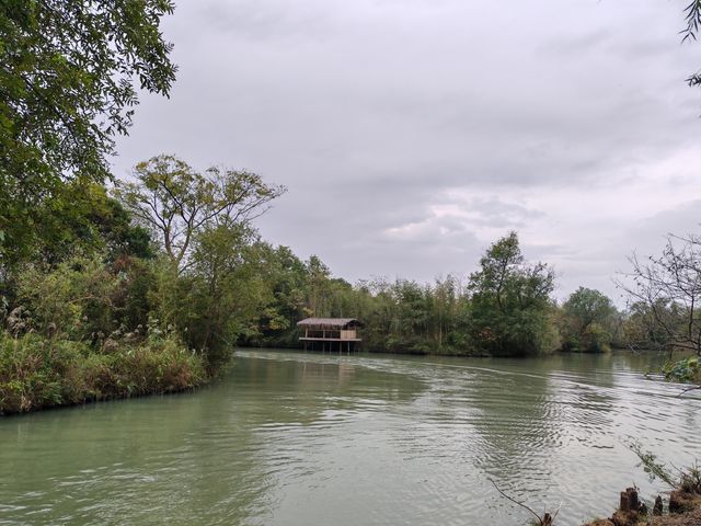 煙雨江南!西溪濕地一日暴走精華攻略含陰雨天絕美機位! 西溪濕地可是杭州的綠肺!坐船穿梭蘆葦蕩, 煙雨江南!西溪濕地一日暴走精華攻略含陰雨天絕美機位! 西溪濕地可是杭州的綠肺!坐船穿梭蘆葦蕩,