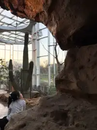 三生三世｜上海溫室花園 人少篇