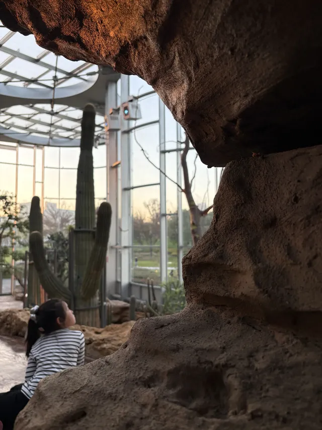 三生三世｜上海溫室花園 人少篇