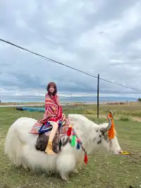 寧夏青海線Day3|闖入青海湖的藍眼淚