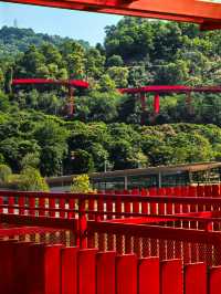 為什麼深圳人總在朋友圈曬這座虹橋？