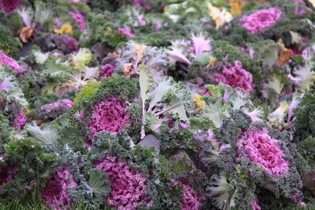 大連星海廣場 大連星海廣場