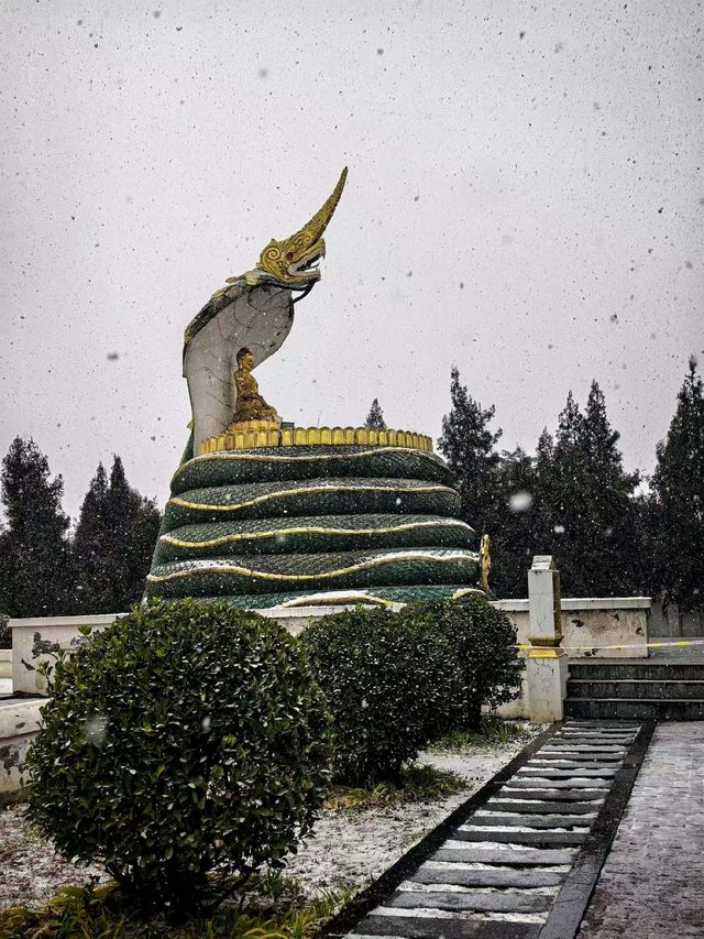 冬日限定版龍門石窟|白雪皚皚下的千年佛國仙境 冬日限定版龍門石窟|白雪皚皚下的千年佛國仙境