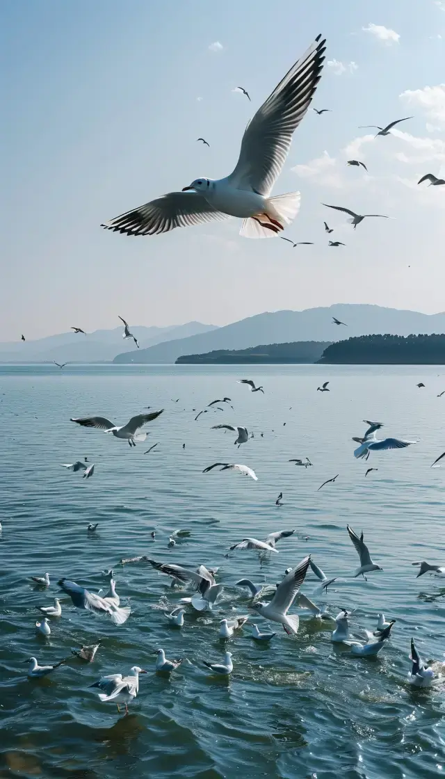 แผนเที่ยวคุนหมิง