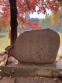 一座公園愛上一座城|我見到駱賓王詩裡的鵝