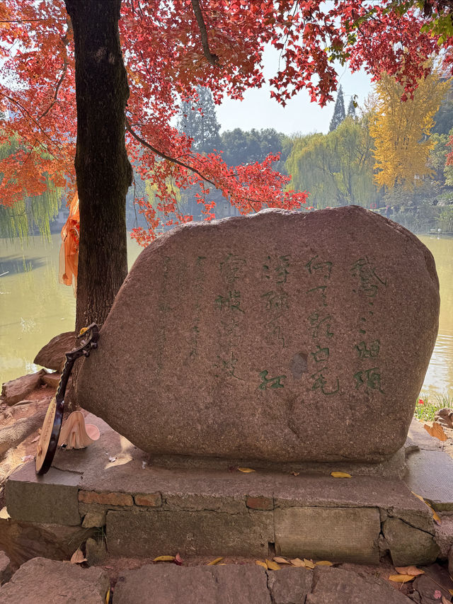 一座公園愛上一座城|我見到駱賓王詩裡的鵝 一座公園愛上一座城|我見到駱賓王詩裡的鵝