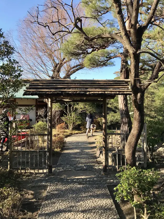 #สวนโบตั๋นคามาคุระ