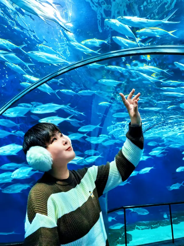 상하이에 와서 은색 회오리 사진 한 번 안 찍어볼래? 믿어봐, 아무렇게나 찍어도 예뻐