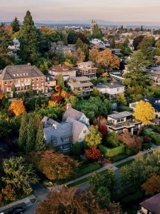 Dundee's Late Autumn Exclusive | A Healing Journey Through Autumn Leaves