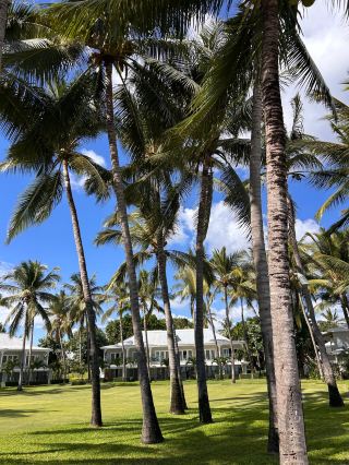 A Perfect Stay at Sugar Beach!