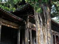 臨汾免費國寶文廟｜藏在汾城古鎮的明清古建秘境