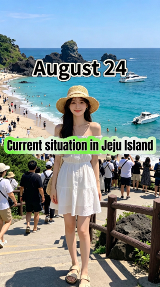 8월 24일, 제주도 현장 실황, 깜짝 놀랐네요