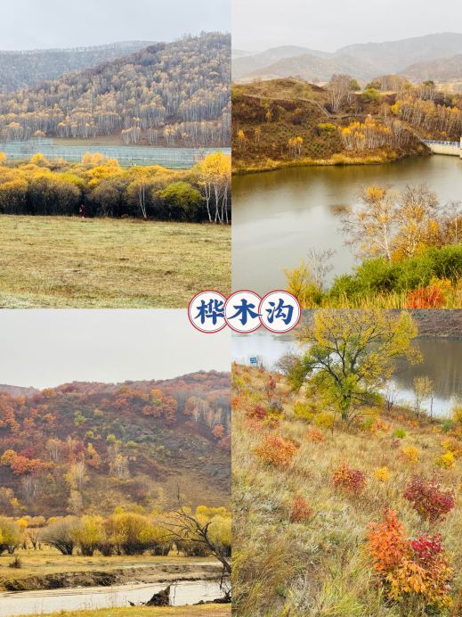 Autumn in Chifeng | A world of oil paintings acclaimed by Chinese