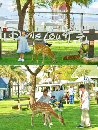 Best September family road trip in Wenzhou | 5-minute walk to the beach