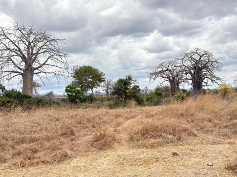 Highly Recommended Experience in Tanzania