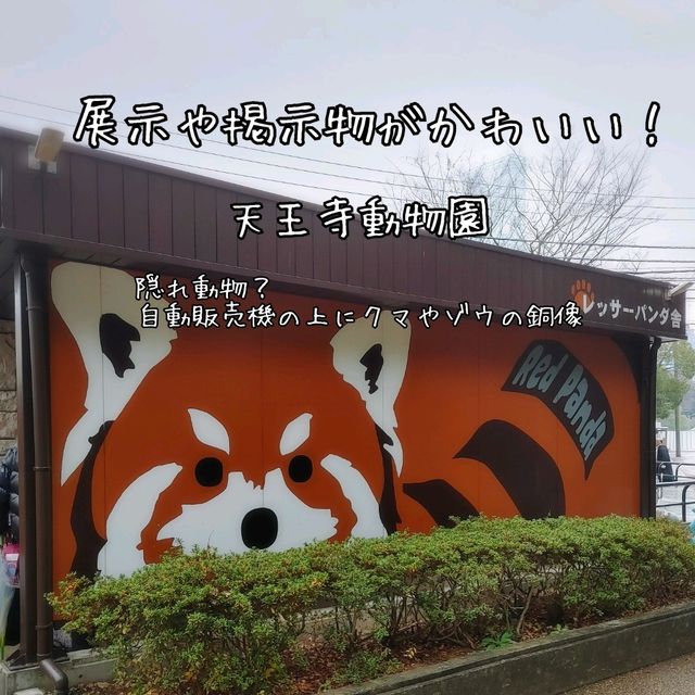 自動販売機にゾウの銅像！岩場にお正月飾り！