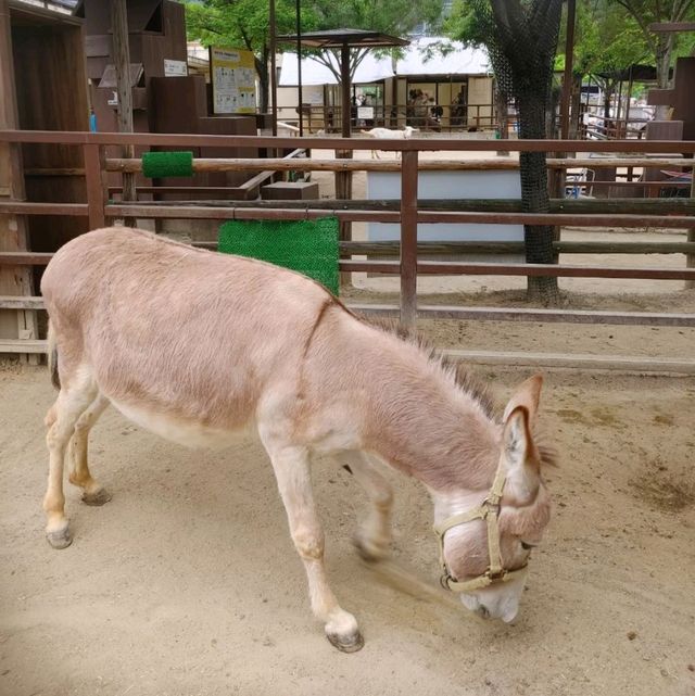 おとぎの国？野生動物を見た人間の感想がだいたい「美味しそう」