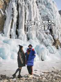 겨울핫플, 엘사가 다녀가는 청송 얼음골❄️