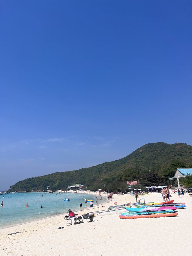 ‼️แชร์โลมา ถ่ายรูปกับน้องห่าน เจ้าหญิงแห่งหาดเทียน
