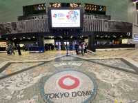 東京・水道橋。各種イベント開催で楽しむ『東京ドーム』