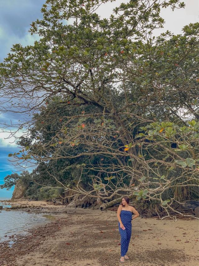 WHAT A CLEAN BEACH IT IS! ❤️