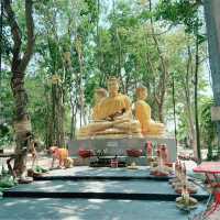 วัดสันห้างเสือ 