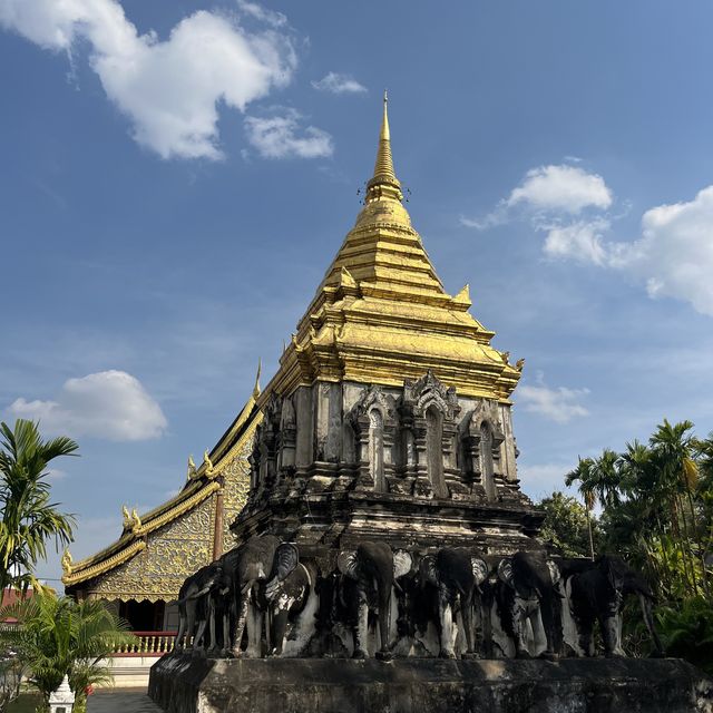 Wat Chiang Man วัดเชียงมั่น