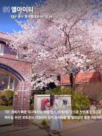 전국에서 가장 아름다운 대구 봄꽃명소🌼