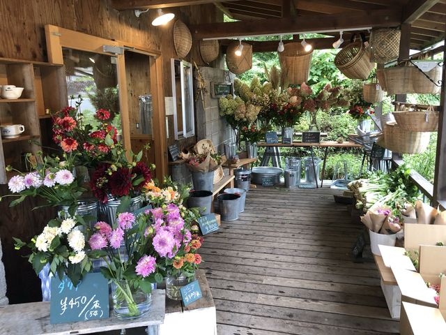 アルパカ牧場@八ヶ岳🦙