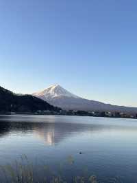 東京富士山靚景