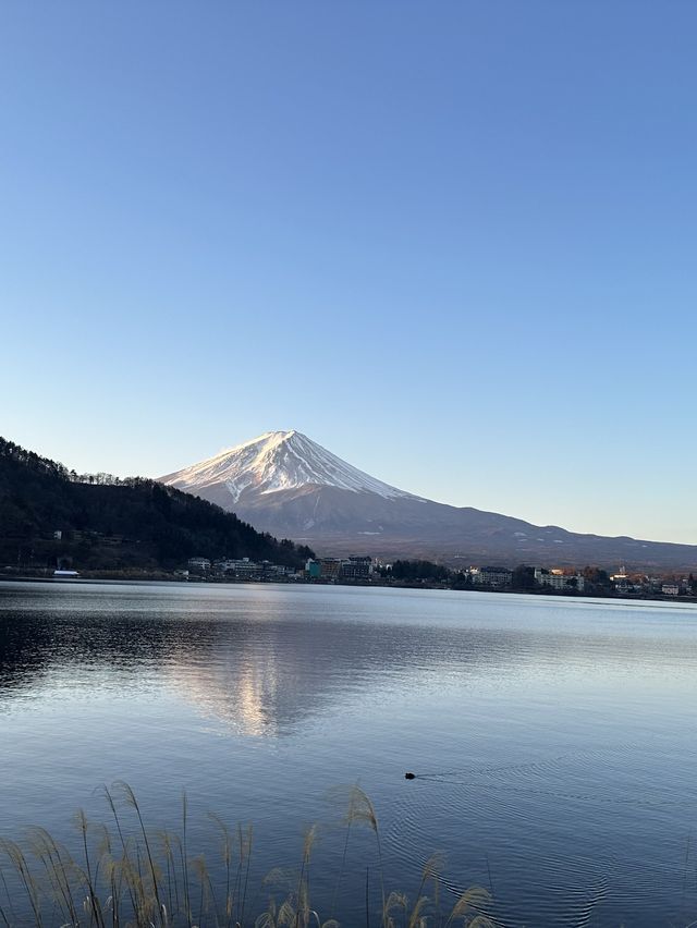 東京富士山靚景