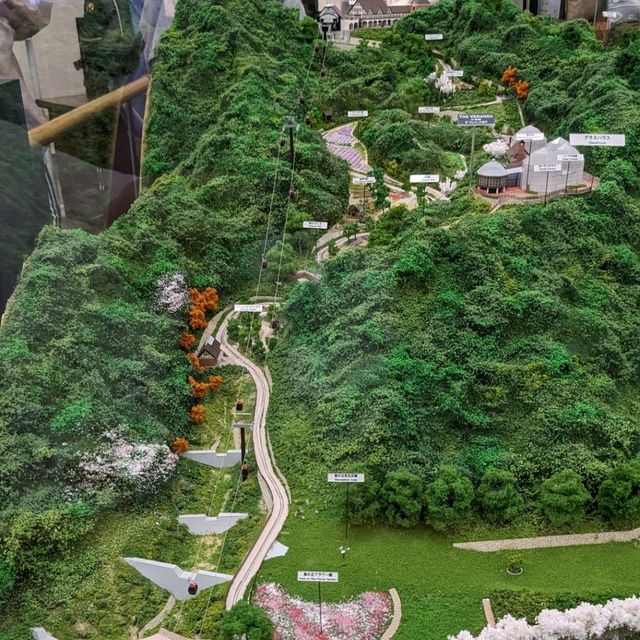 【神戸を山頂から一望】神戸布引ハーブ園