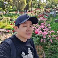 에노시마아일랜드 타워