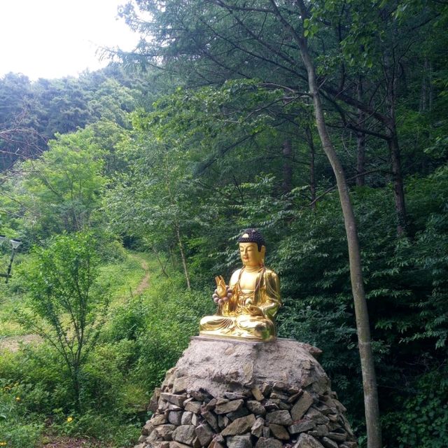 6월애 칠곡 선석산 영암산 트래킹 녹색바람을 맞으며