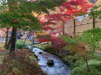 เที่ยวใบไม้เปลี่ยนสี เกียวโต วัดเอกันโดเซ็นริน 🍁⛩️