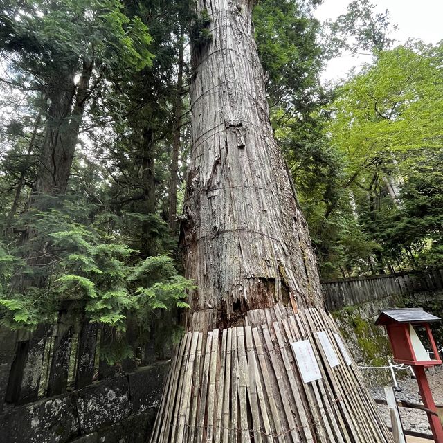 【栃木・日光】世界遺産！日光の社寺に！