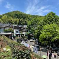 The dreamy teas gardens of Hangzhou 