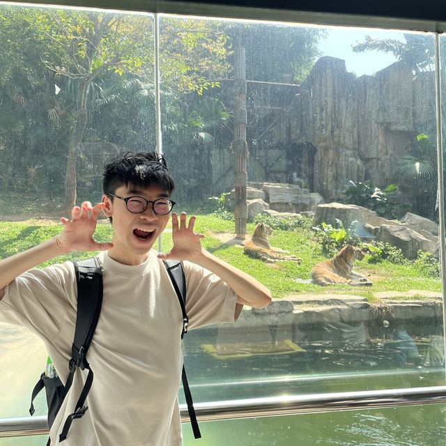 性價比超高的深圳野生動物園🦁