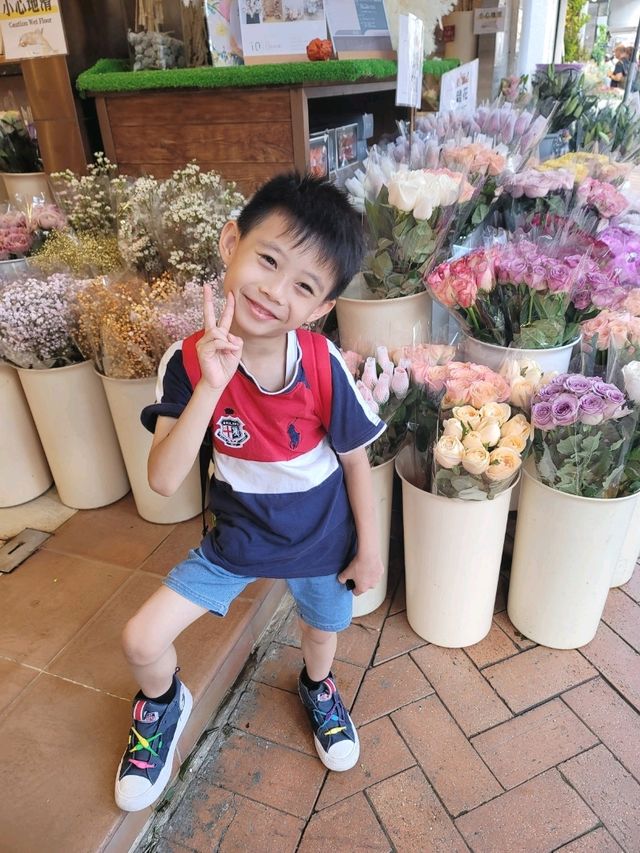 帶綿綿行花墟 帶綿綿行花墟