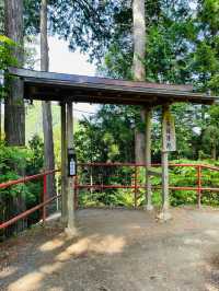 【東京都/武蔵御嶽神社】山岳信仰と狼による守り神の地