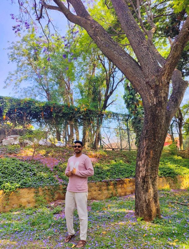 A must visit Park in Bengaluru 😍 