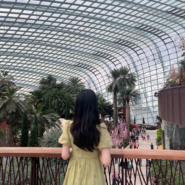 세계 각국의 다양한 식물을 볼 수 있는 싱가폴 가든스 바이 더 베이 플라워 돔