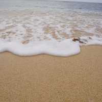 UNCROWDED BEACHES IN PANGASINAN, PHILIPPINES 