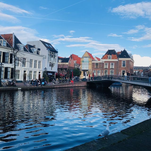 荷蘭🇳🇱萊頓市中心河岸景色🚤🛶