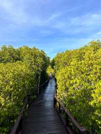 วนอุทยาน​ปราณบุรี​ แนบชิดธรรมชาติ​