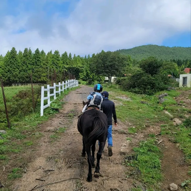 제주는 말이죠?! 🐎풍경을 즐기며 말을타보자 어승생승마장