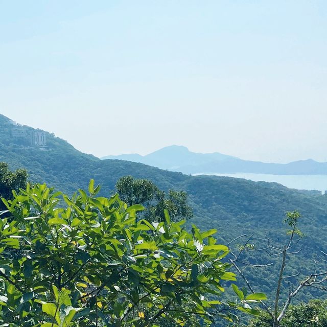 大年初一，晴空萬里，行大運，港島徑！