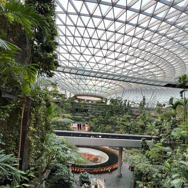 新加坡樟宜機場Singapore Changi Airport